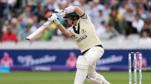 steve smith