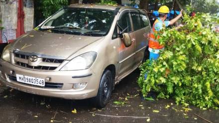 heavy rain effects in Thane news in marathi