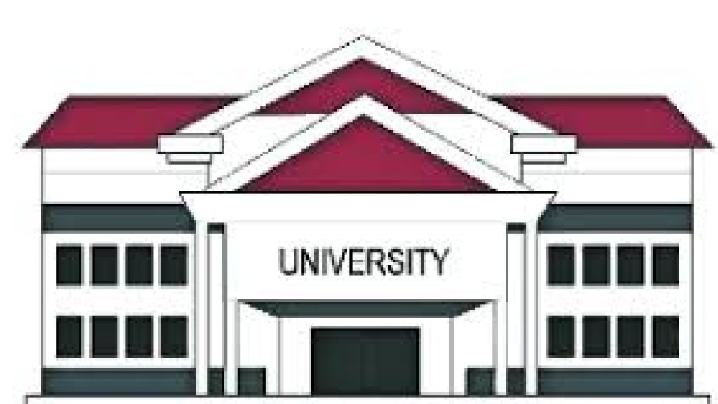 Loksatta anvyarth Five foreign universities set up in Navi Mumbai