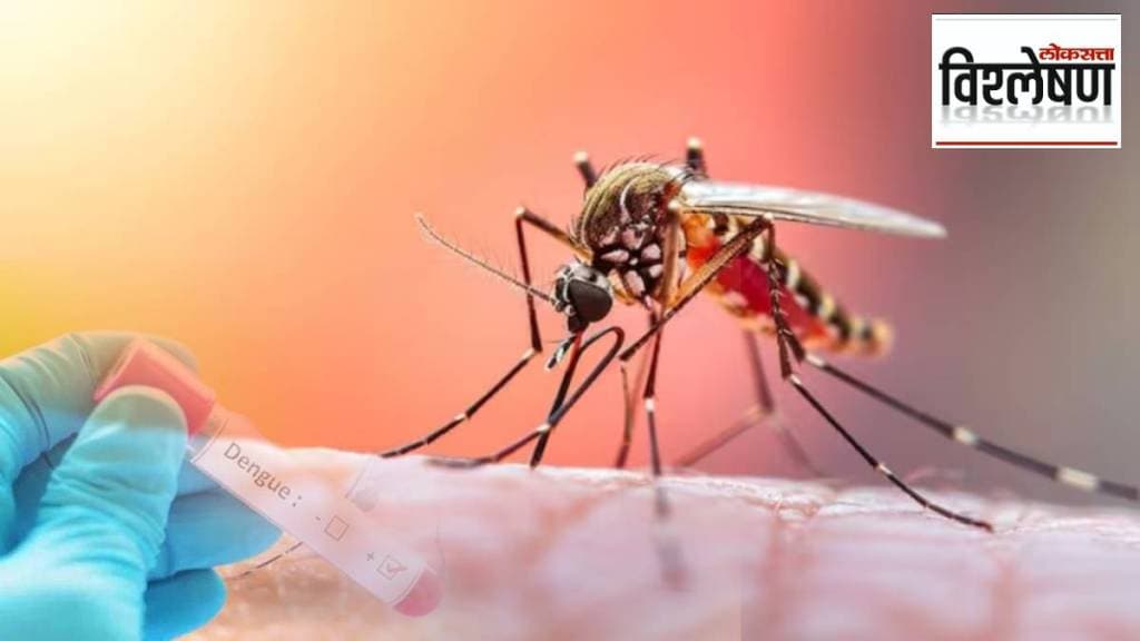 Serum develop new treatment for dengue fever