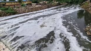 Ulhas and Waldhuni pollution news in marathi