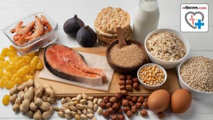 what is class one and class two proteins