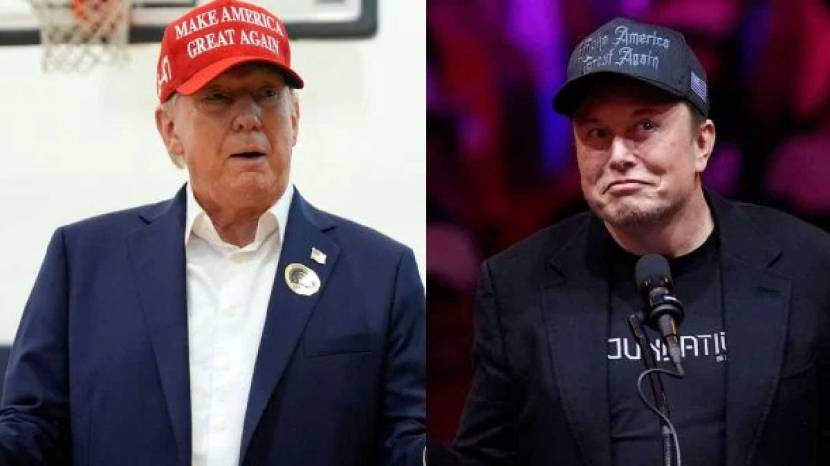 Elon Musk Political Party