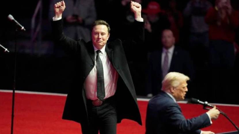 Elon Musk Political Party