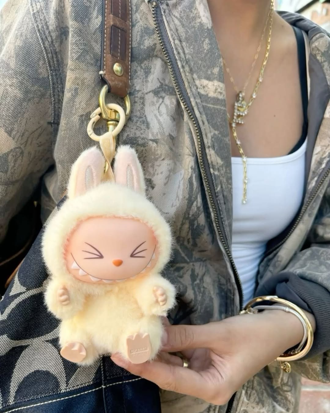  stylish Labubu doll