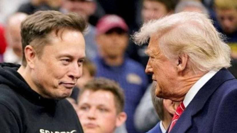 Elon Musk Political Party