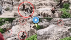 “काळ आला होता पण..,” अचानक वाढले धबधब्याचे पाणी अन् त्या ६ जणी वाहून जाऊ लागल्या, थरारक अपघाताचा Video Viral