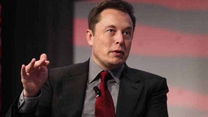 Elon Musk Political Party