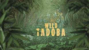 A documentary film Wild Tadoba based on S Nallamuthus artwork is being made