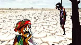 A farmer couple committed suicide together in Buldhana district