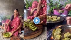 Video : कुरकुरीत कोथिंबीर वडी खाल्ली का? आज्जीने सांगितली सोपी रेसिपी, व्हिडीओ एकदा पाहाच