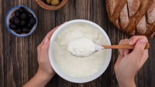 Make Curd at Home in Winter