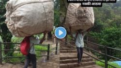 Video : “इतकं वाईट वागतो का आपण?” गडकिल्ल्यांवर कचरा टाकण्यापूर्वी थोडं थांबा…; वृद्ध व्यक्तीचा हा व्हिडीओ पाहून तुम्हालाही अपराधी वाटेल
