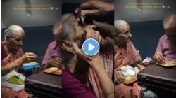 Video : आज्जी आजोबांच्या प्रेमाला तोड नाही! वयासह प्रेमही वाढलं; व्हिडीओ होतोय व्हायरल