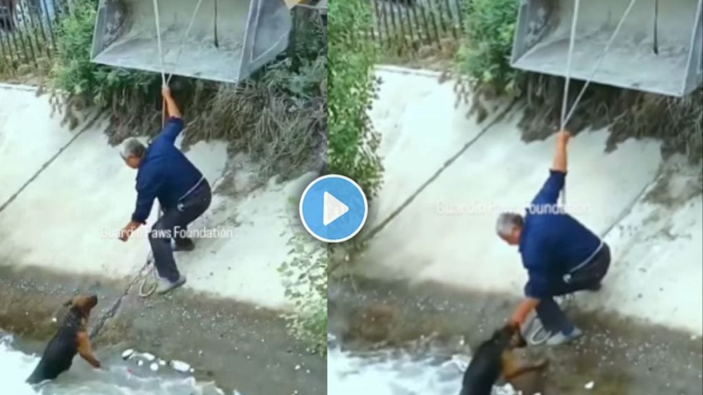 Emotional Moment: Old Man's Selfless Act Saves Dog's Life