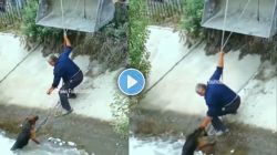 Video : पुरात अडकला कुत्रा, आजोबांनी दाखवली माणुसकी अन् वाचवले प्राण; व्हिडीओ पाहून डोळ्यात पाणी येईल