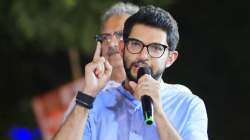 “महाराष्ट्रद्वेष हाच भाजपाचा खरा डीएनए”, शेलार व निशिकांत दुबेंच्या वक्तव्यावरून आदित्य ठाकरेंचा संताप
