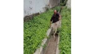 Akolas senior snake charmer and respected wildlife conservationist Bal Kalne