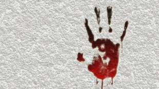 Alwar Murder Case (1)