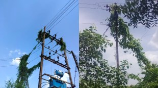 Amravati MSEDCL starts campaign to ensure safe electricity supply