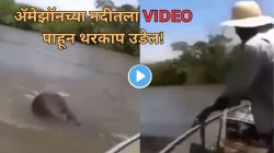 बापरे! अ‍ॅमेझॉन नदीत मासेमाऱ्याने पकडली महाकाय अ‍ॅनाकोंडाची शेपूट अन् पुढे जे झालं… ‘हा’ VIDEO पाहून तुम्हालाही भरेल धडकी