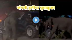 जंगली हत्तीचा कहर! गाड्या पलटी करत धावत सुटला… Viral Video पाहून अंगावर शहारे येतील