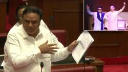 “परिस्थितीच्या माऱ्याने दोघे एकत्र, आता नवा चित्रपट…”, आशिष शेलारांचा ठाकरे बंधूंना चिमटा; सिनेमाचं नावंही सांगितलं!