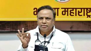 Cultural Minister Ashish Shelar calls environmentalists anti Hindu