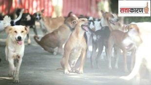 BBMP dog food scheme biryani bjp vs congress