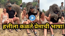 ‘हत्तीला कळते प्रेमाची भाषा!’, निरागस हत्तीचे पिल्लू पडले जोडप्याच्या प्रेमात; खांद्यावर चढून घेतली गळाभेट,पाहा गोंडस Video