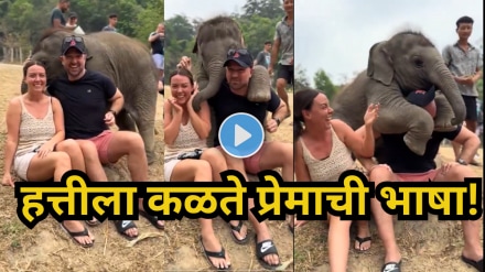 Baby elephant adorably hugs a couple