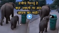 जे माणसांना कधी जमत नाही ते हत्तीच्या पिल्लाने करून दाखवले – Video पाहून आपल्याला थोडी लाज वाटली पाहिजे