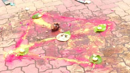 Beed parali rooster sacrificed in procession former NCP leader booked