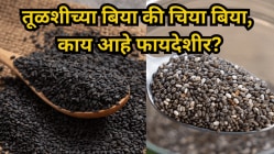 तूळशीच्या बिया की चिया बिया, आरोग्यासाठी काय आहे जास्त फायदेशीर! तज्ज्ञांनी केला खुलासा, कसे करावे सेवन?