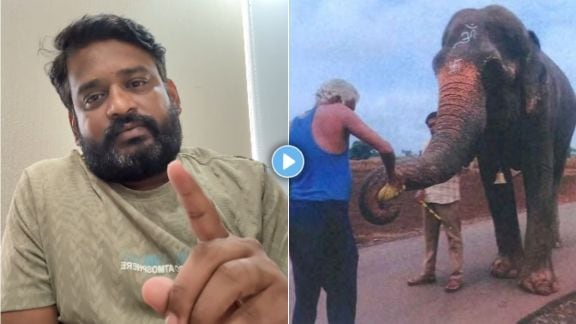 Bigg Boss Marathi 5 fame Dhananjay Powar shared a video and appealed to bring back Mahadevi elephant from Nandani village