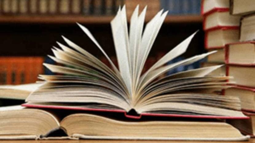 It describes the Sultanate period as one marked by political instability and military campaigns that saw villages and cities being plundered and temples and seats of learning destroyed.