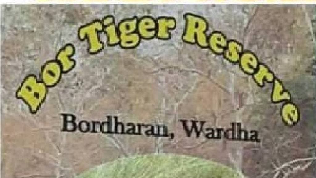 Tigers and leopards are preying on domesticated animals from Bor Tiger Reserve nearby villages