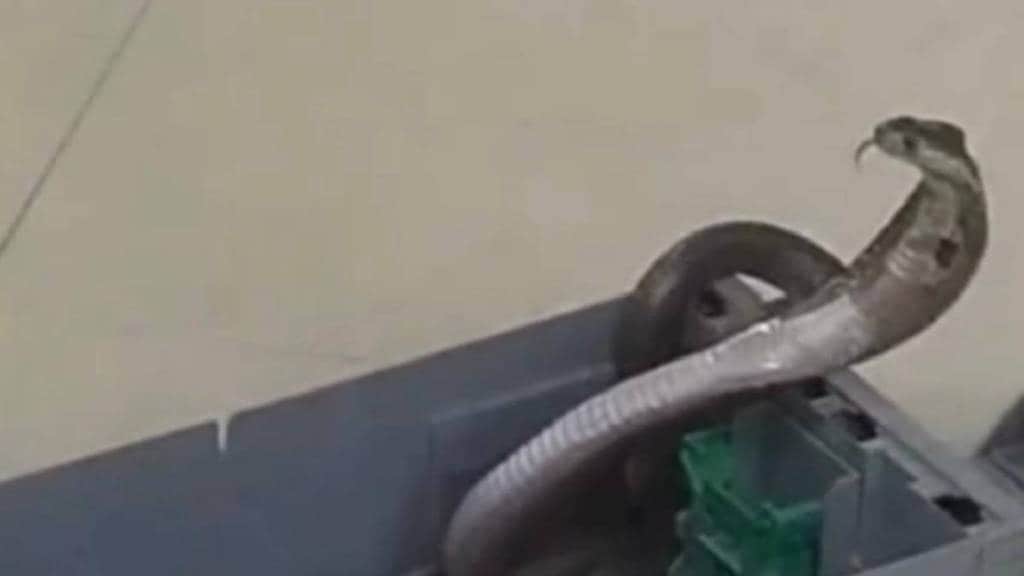 Cobra in ATM machine in Bhandara district
