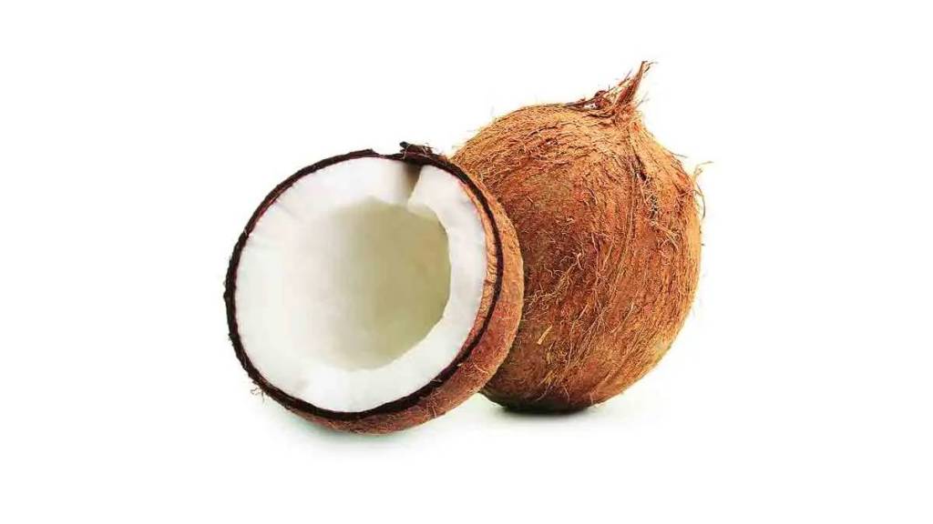 Coconuts have received high prices ahead of Ganesh Chaturthi this year