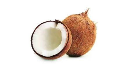 Coconuts have received high prices ahead of Ganesh Chaturthi this year