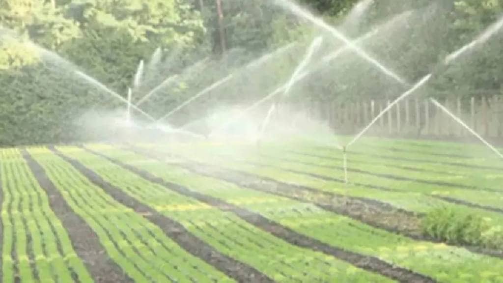 Combined irrigation and non-irrigation circulation has been released in the catchment area of ​​Bhandardara Dam