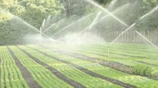Combined irrigation and non-irrigation circulation has been released in the catchment area of Bhandardara Dam