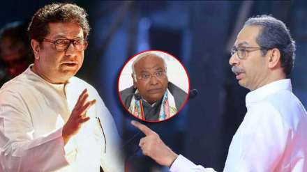 Congress on Raj and Uddhav Thackeray