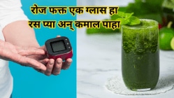 मधुमेहावर रामबाण उपाय! रोज फक्त एक ग्लास हा रस प्या अन् झटक्यात कमी होईल रक्तातील साखर