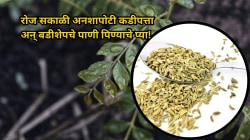 रोज सकाळी अनशापोटी कढीपत्ता अन् बडीशेपचे पाणी पिण्याचे प्या! वजन कमी करण्यापासून केस गळती रोखण्यापर्यंत मिळतील कमालीचे फायदे