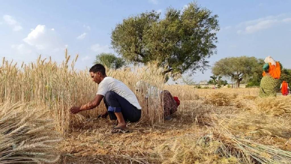 Demand for agricultural court gains momentum as Vidarbhas person becomes Chief Justice