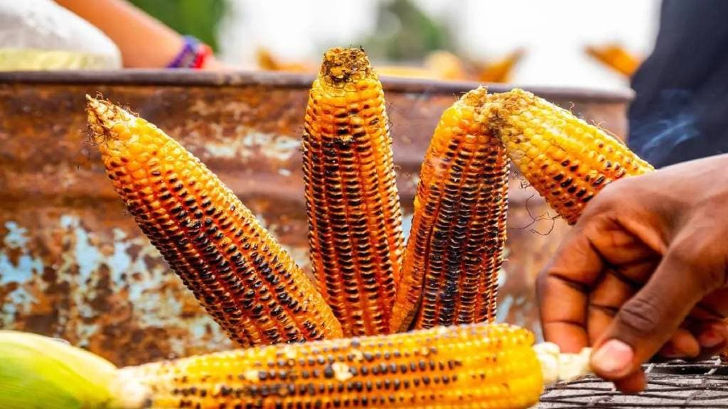 Demand for corn has increased from tourist destinations