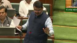 “लोक म्हणतायत, सगळे आमदार माजलेत”, पडळकर-आव्हाड राड्याप्रकरणी मुख्यमंत्री फडणवीसांचा सभागृहात संताप