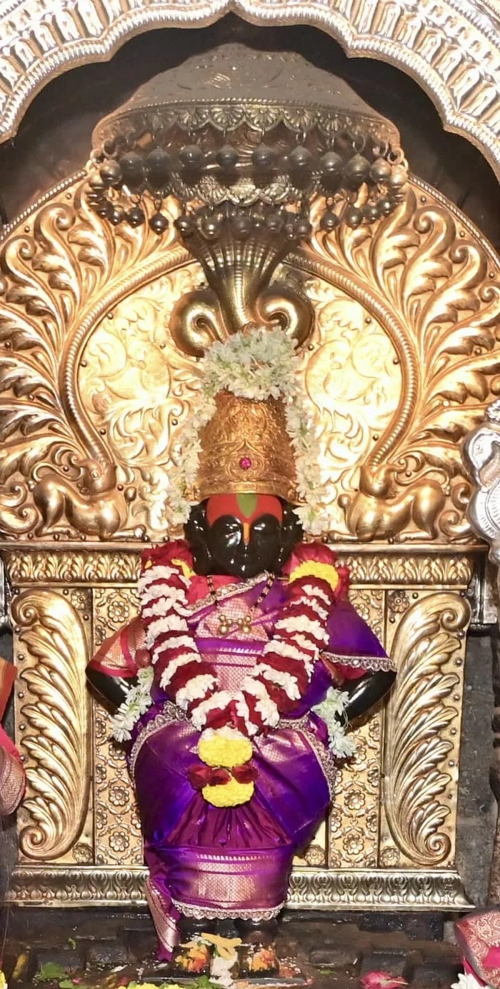 Ashadhi-Ekadashi-2022-Fasting-Tips-