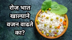 रोज भात खाल्याने वजन वाढते का? रोज भात खाणे चांगले की वाईट? तज्ज्ञांनी सांगितले फायदे-तोटे
